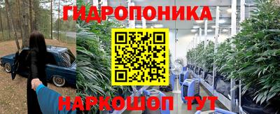 Альфа ПВП Дубна
